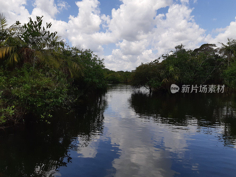 亚马逊地区- TAPAJOS - PARA